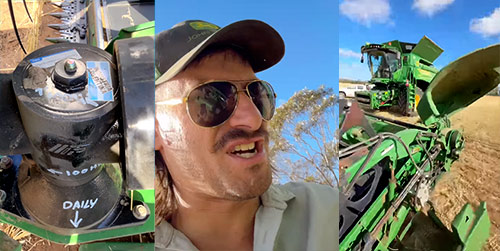 caja perez en Australia